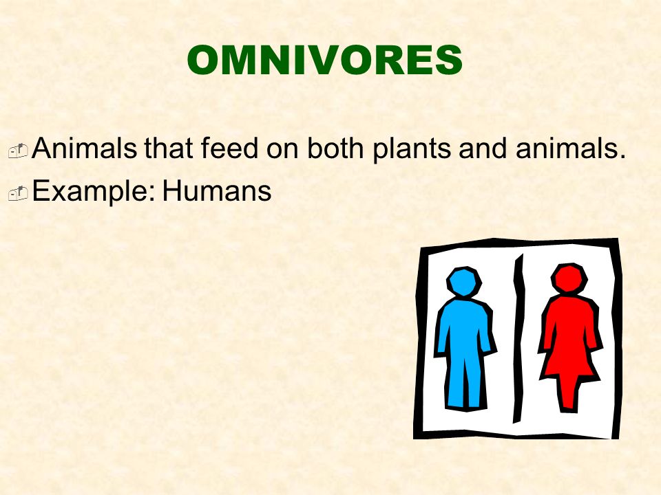 OMNIVORES  Animals that feed on both plants and animals.  Example: Humans