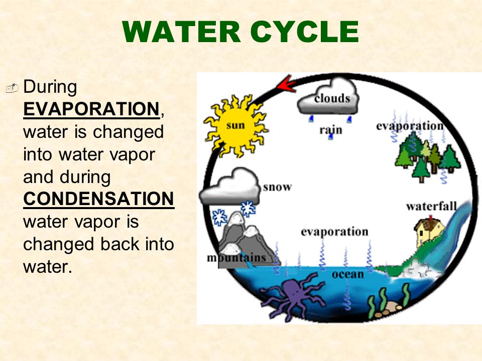  During EVAPORATION, water is changed into water vapor and during CONDENSATION water vapor is changed back into water.