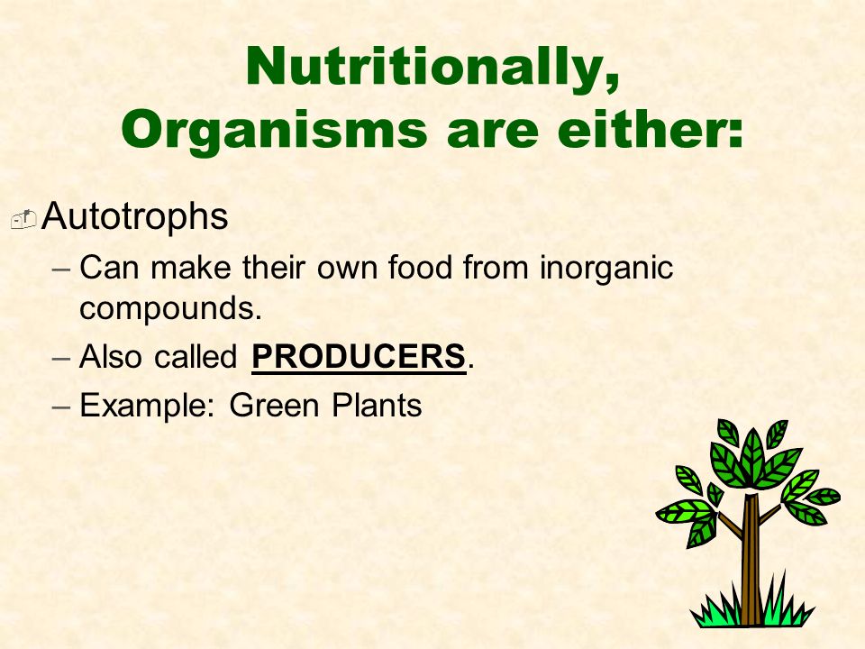 Nutritionally, Organisms are either:  Autotrophs –Can make their own food from inorganic compounds.