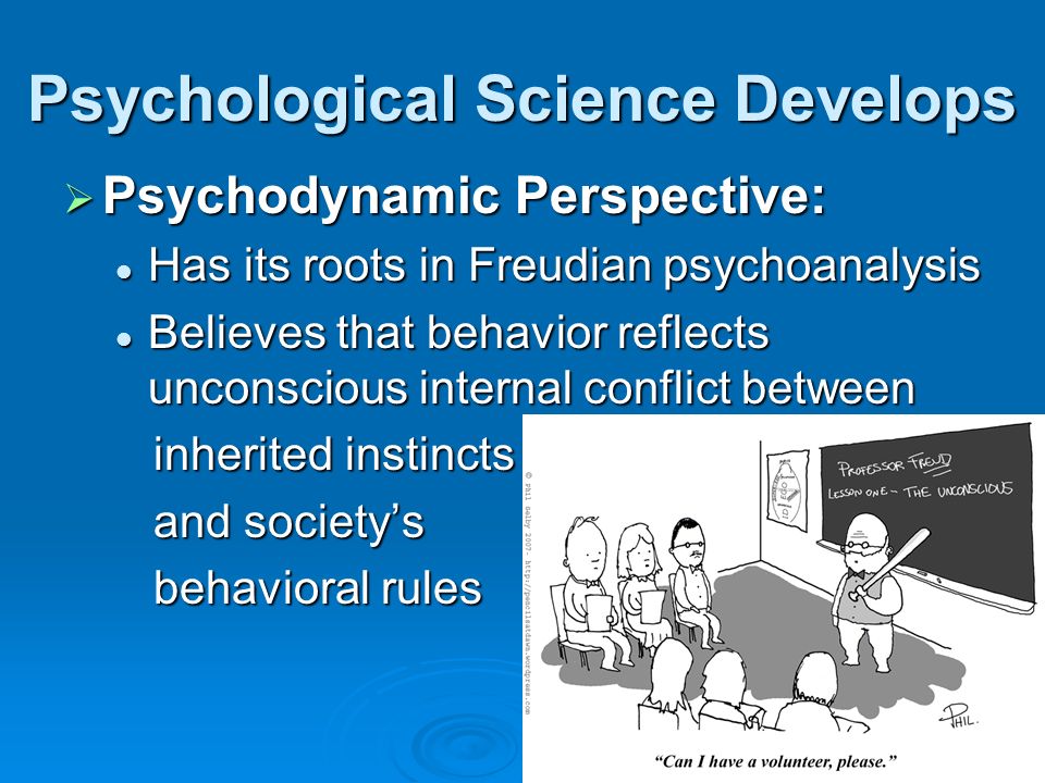 Psychological Science Develops  Psychodynamic Perspective: Has its roots in Freudian psychoanalysis Has its roots in Freudian psychoanalysis Believes that behavior reflects unconscious internal conflict between Believes that behavior reflects unconscious internal conflict between inherited instincts inherited instincts and society’s and society’s behavioral rules behavioral rules