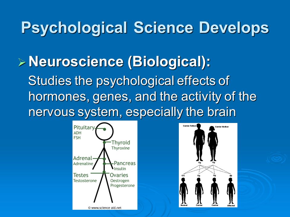 Psychological Science Develops  Neuroscience (Biological): Studies the psychological effects of hormones, genes, and the activity of the nervous system, especially the brain Studies the psychological effects of hormones, genes, and the activity of the nervous system, especially the brain