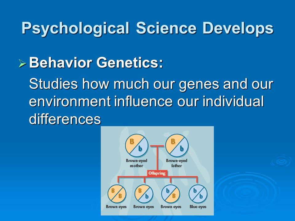 Psychological Science Develops  Behavior Genetics: Studies how much our genes and our environment influence our individual differences