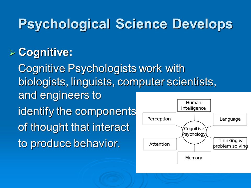 Psychological Science Develops  Cognitive: Cognitive Psychologists work with biologists, linguists, computer scientists, and engineers to Cognitive Psychologists work with biologists, linguists, computer scientists, and engineers to identify the components identify the components of thought that interact of thought that interact to produce behavior.