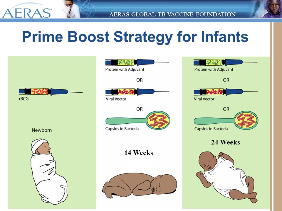 AERAS GLOBAL TB VACCINE FOUNDATION Prime Boost Strategy for Infants 14 Weeks 24 Weeks