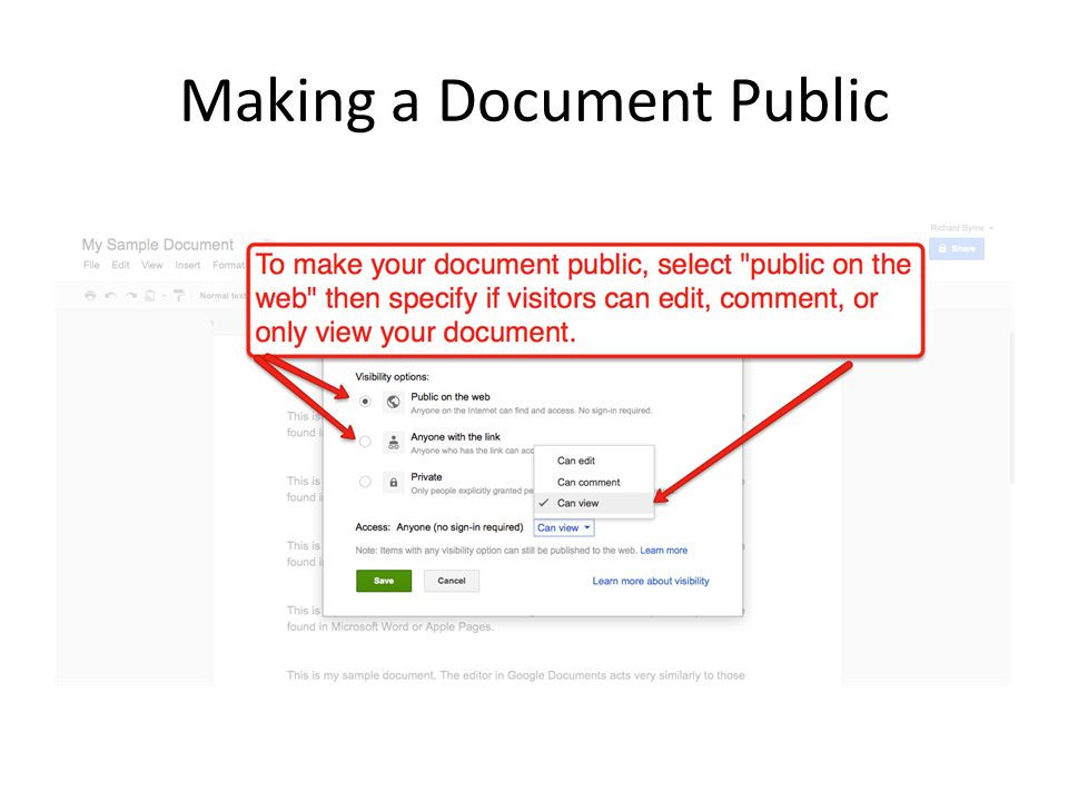 Making a Document Public