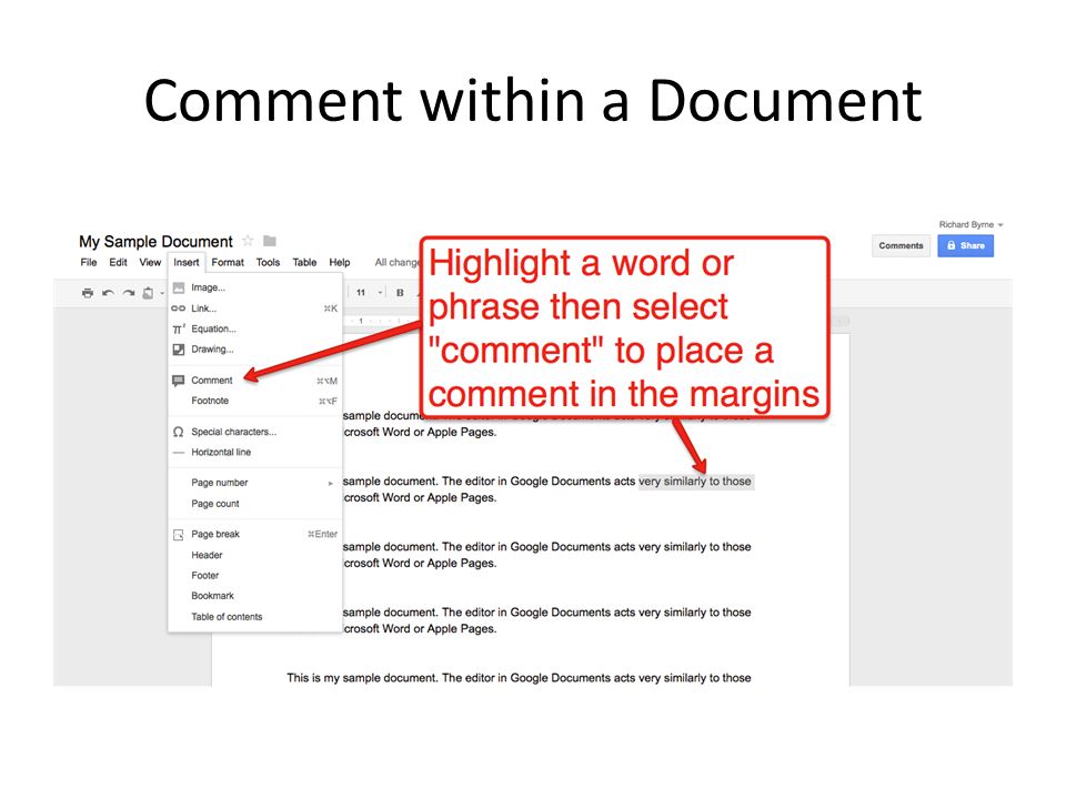 Comment within a Document