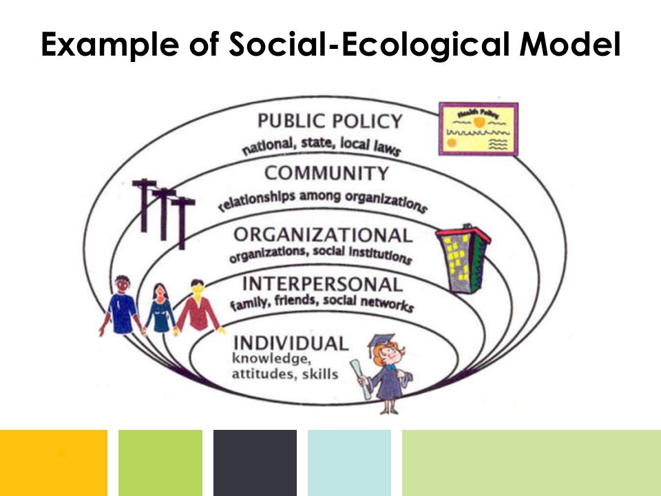 Example of Social-Ecological Model