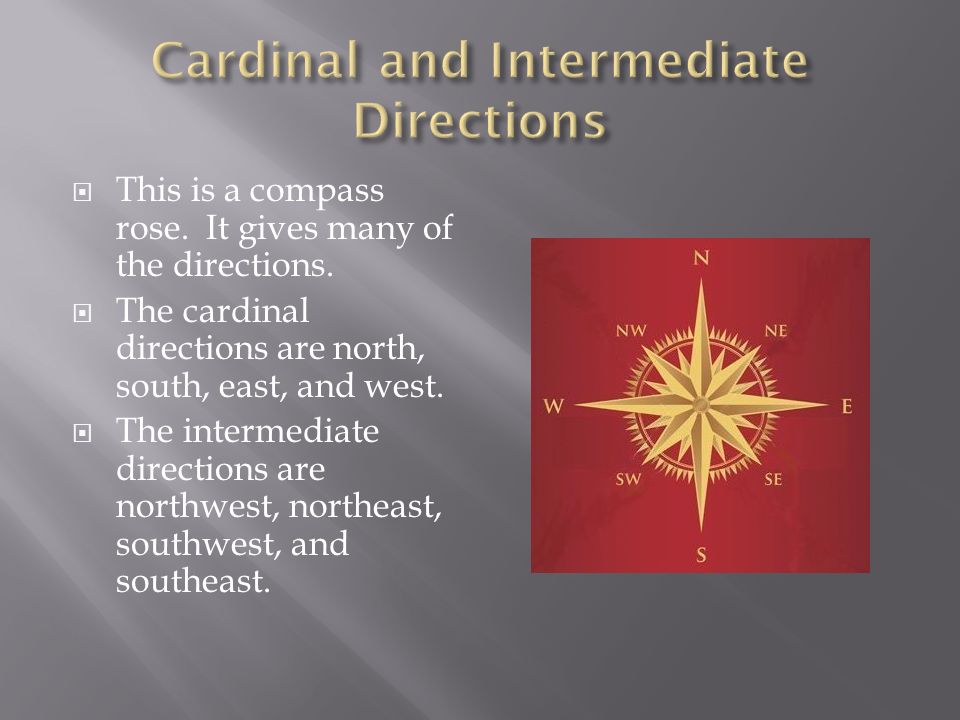  This is a compass rose. It gives many of the directions.