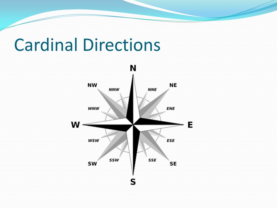 Cardinal Directions