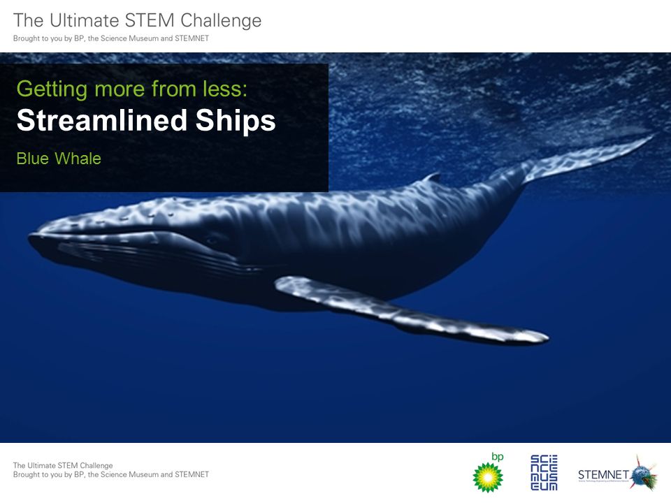 Getting more from less: Streamlined Ships Blue Whale