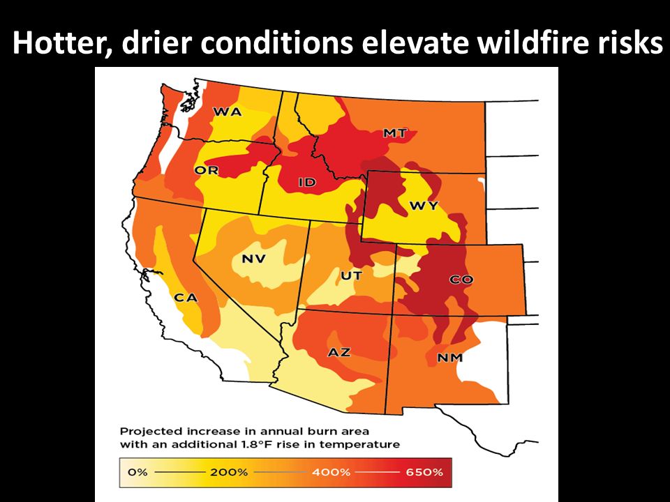 Hotter, drier conditions elevate wildfire risks