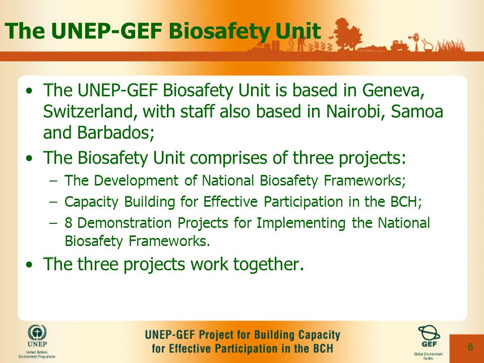 6 The UNEP-GEF Biosafety Unit The UNEP-GEF Biosafety Unit is based in Geneva, Switzerland, with staff also based in Nairobi, Samoa and Barbados; The Biosafety Unit comprises of three projects: –The Development of National Biosafety Frameworks; –Capacity Building for Effective Participation in the BCH; –8 Demonstration Projects for Implementing the National Biosafety Frameworks.