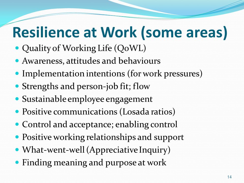 Resilience at Work (some areas) Quality of Working Life (QoWL) Awareness, attitudes and behaviours Implementation intentions (for work pressures) Strengths and person-job fit; flow Sustainable employee engagement Positive communications (Losada ratios) Control and acceptance; enabling control Positive working relationships and support What-went-well (Appreciative Inquiry) Finding meaning and purpose at work 14