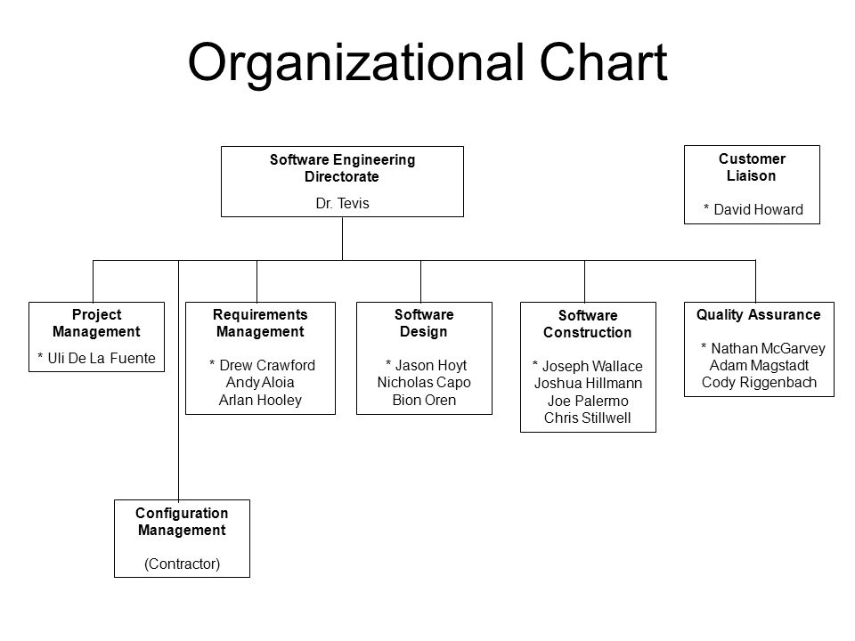 Software Engineering Org Chart