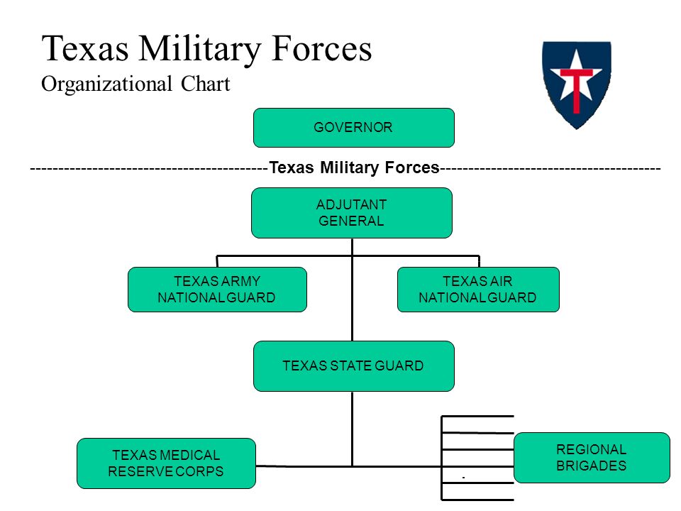 State Of Texas Organizational Chart