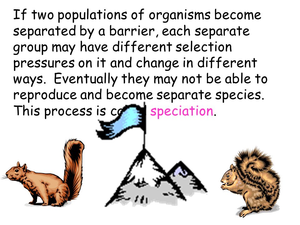 If two populations of organisms become separated by a barrier, each separate group may have different selection pressures on it and change in different ways.