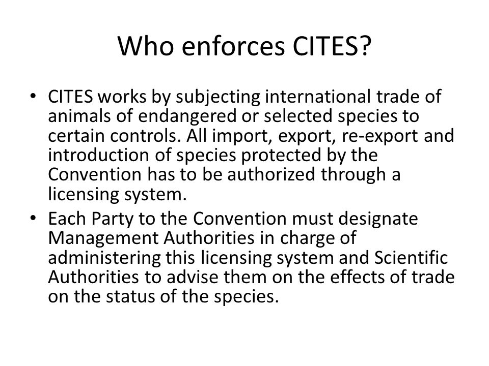 Who enforces CITES.