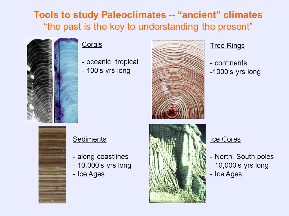 Tools to study Paleoclimates -- ancient climates the past is the key to understanding the present Corals - oceanic, tropical - 100’s yrs long Sediments - along coastlines - 10,000’s yrs long - Ice Ages Tree Rings - continents -1000’s yrs long Ice Cores - North, South poles - 10,000’s yrs long - Ice Ages