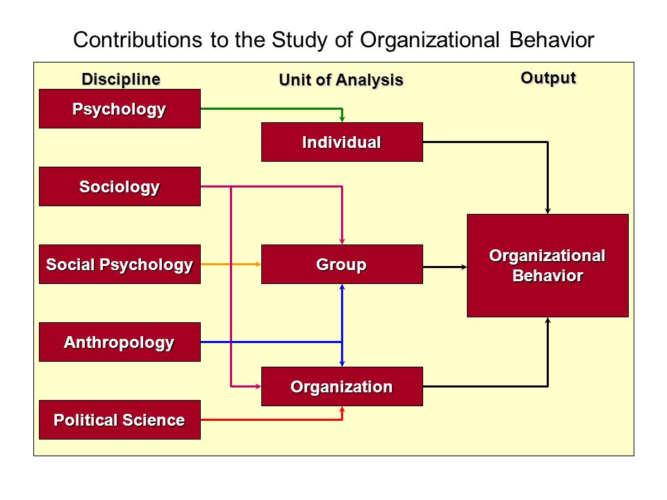 Individual Group Organization OrganizationalBehavior Social Psychology Political Science Anthropology Psychology Sociology Discipline Unit of Analysis Output Contributions to the Study of Organizational Behavior