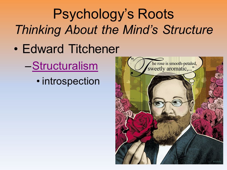 Psychology’s Roots Thinking About the Mind’s Structure Edward Titchener –StructuralismStructuralism introspection
