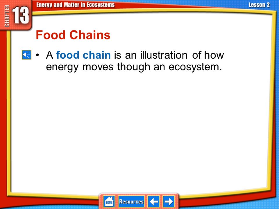 Food as Energy Energy passes through ecosystems as food Energy in Ecosystems
