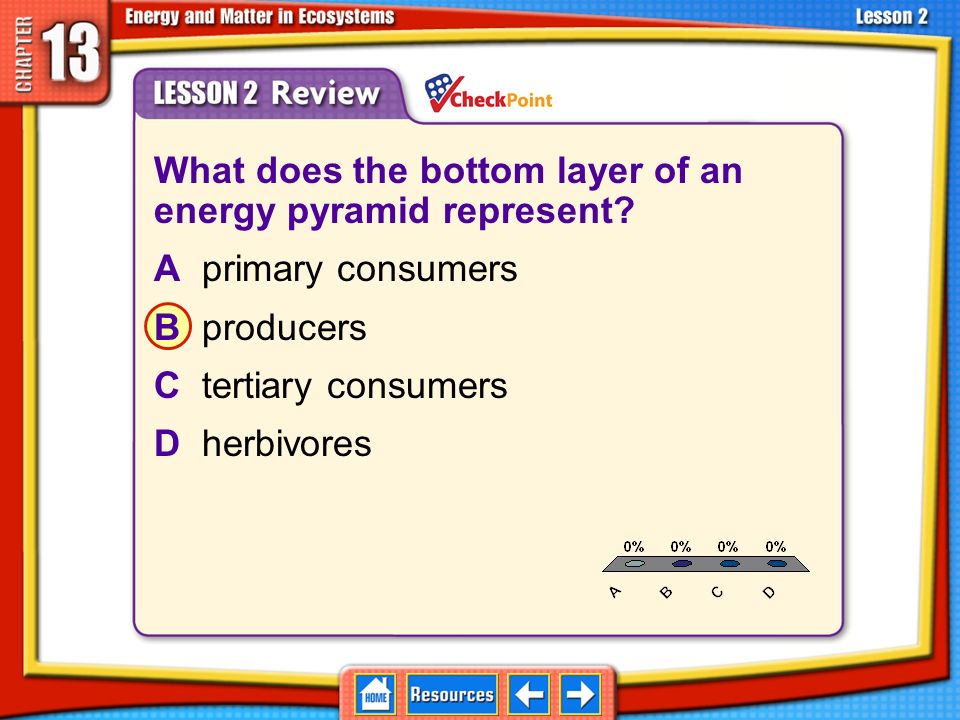 Lesson 2 Review Which accurately represents the flow of energy in an ecosystem.