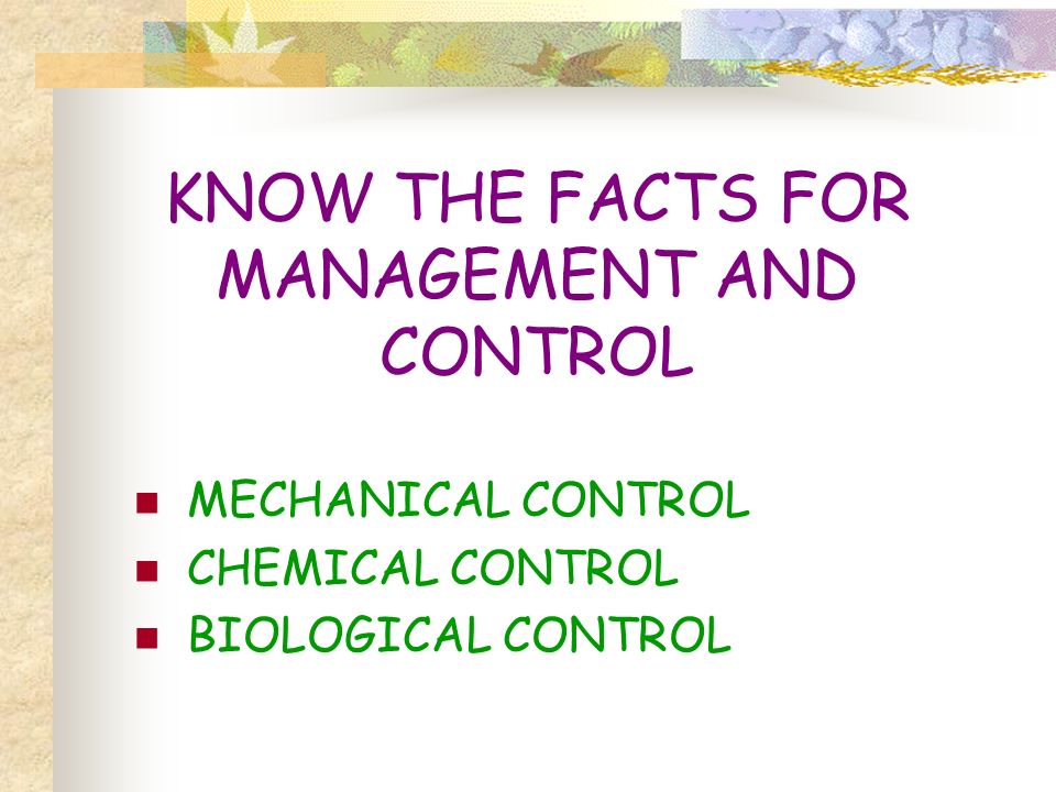 KNOW THE FACTS FOR MANAGEMENT AND CONTROL MECHANICAL CONTROL CHEMICAL CONTROL BIOLOGICAL CONTROL