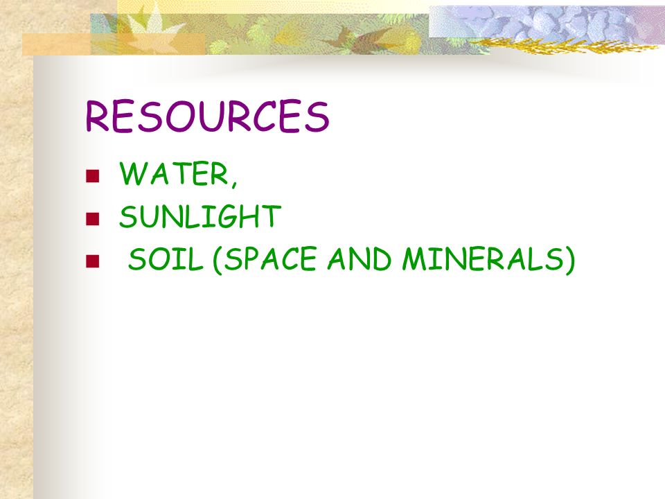 RESOURCES WATER, SUNLIGHT SOIL (SPACE AND MINERALS)