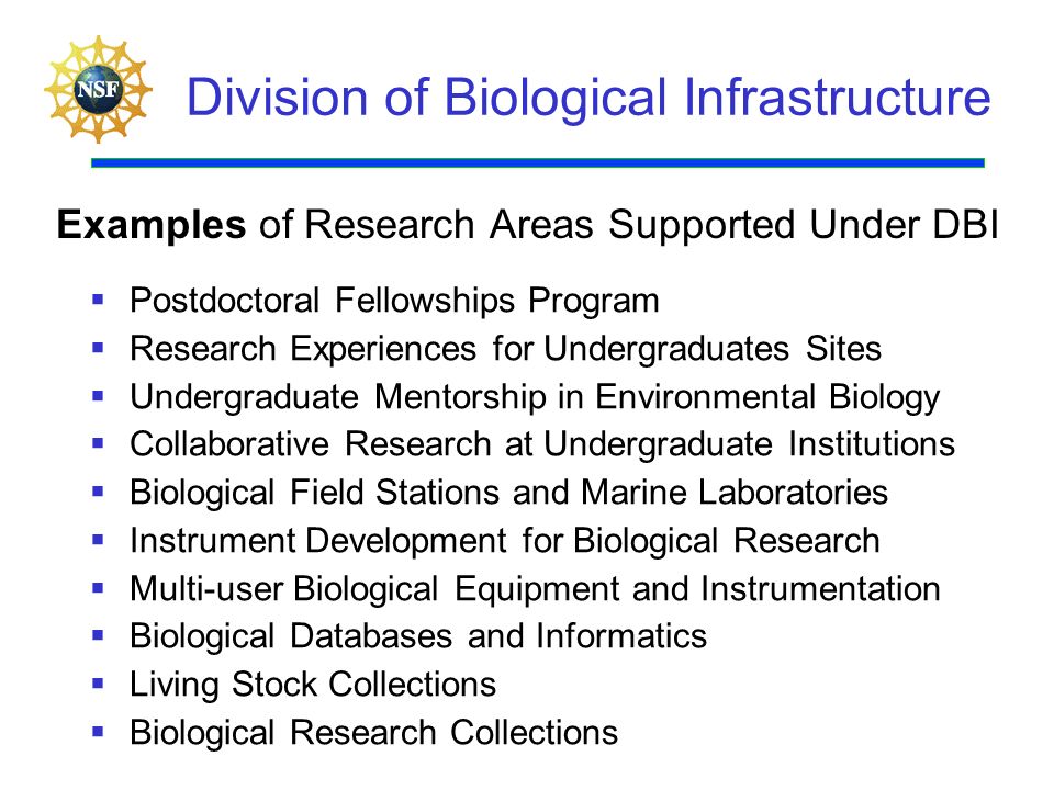Division of Biological Infrastructure Examples of Research Areas Supported Under DBI   Postdoctoral Fellowships Program   Research Experiences for Undergraduates Sites   Undergraduate Mentorship in Environmental Biology   Collaborative Research at Undergraduate Institutions   Biological Field Stations and Marine Laboratories   Instrument Development for Biological Research   Multi-user Biological Equipment and Instrumentation   Biological Databases and Informatics   Living Stock Collections   Biological Research Collections