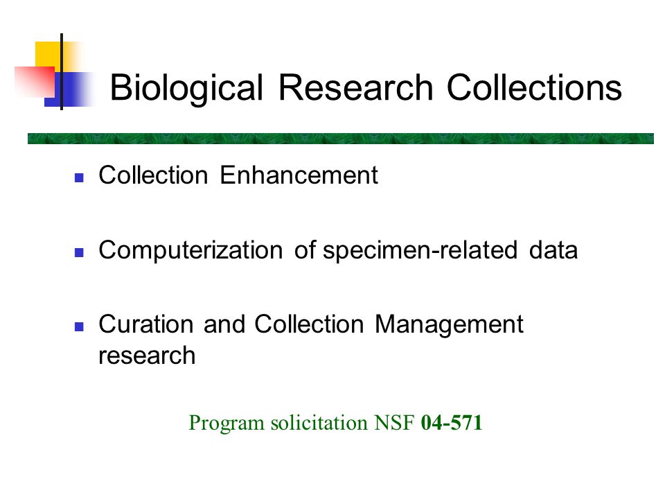 Biological Research Collections Collection Enhancement Computerization of specimen-related data Curation and Collection Management research Program solicitation NSF
