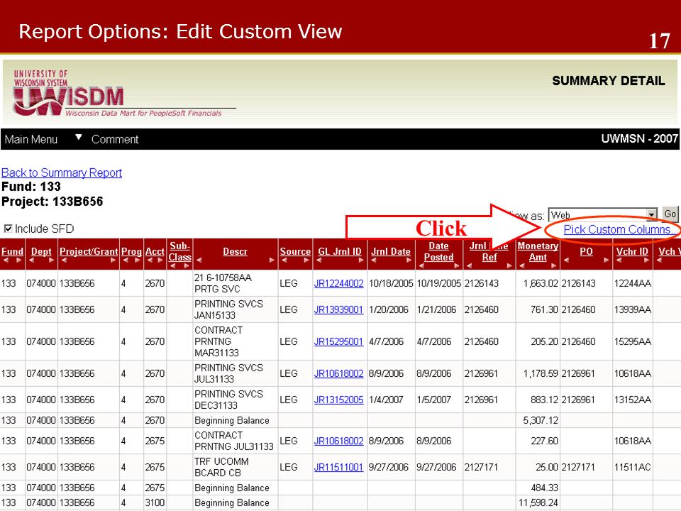Report Options: Edit Custom View Click 17