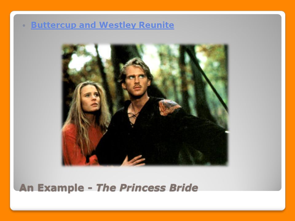 An Example - The Princess Bride Buttercup and Westley Reunite