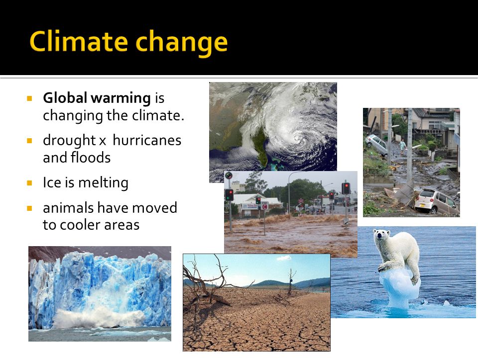 Global warming is changing the climate.