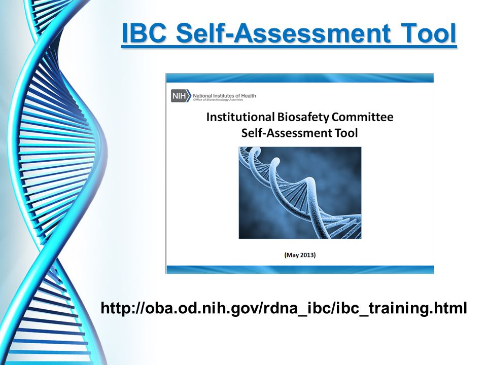IBC Self-Assessment Tool