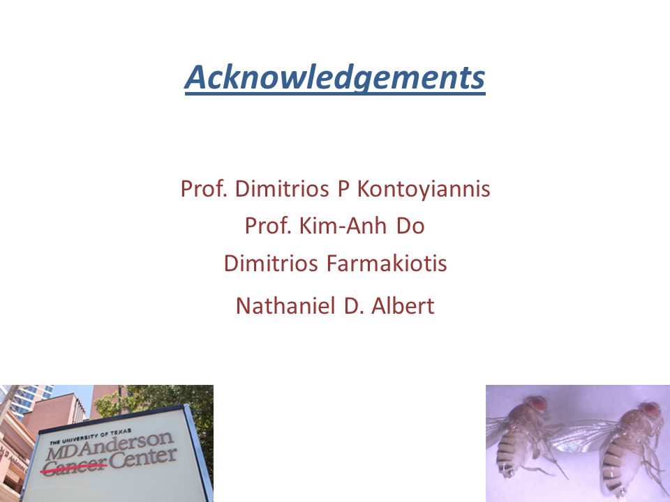 Acknowledgements Prof. Dimitrios P Kontoyiannis Prof.