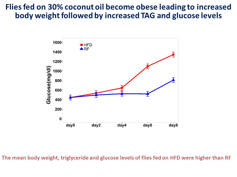 The mean body weight, triglyceride and glucose levels of flies fed on HFD were higher than RF Flies fed on 30% coconut oil become obese leading to increased body weight followed by increased TAG and glucose levels