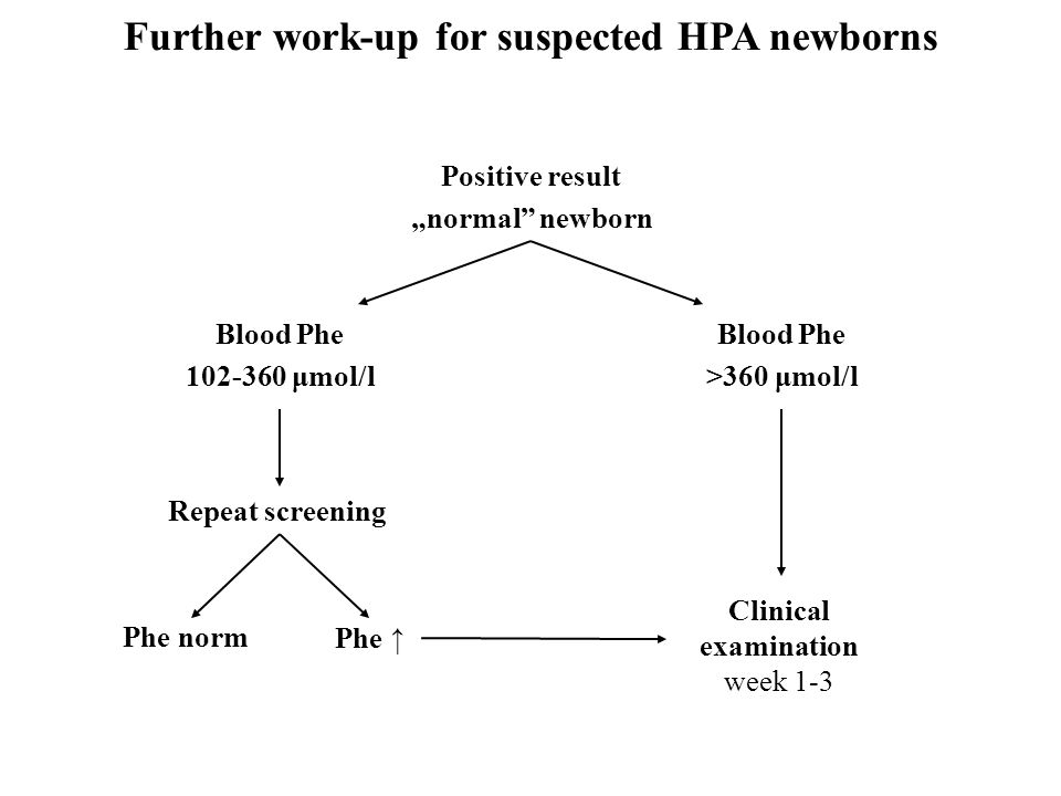 Positive result „normal newborn Blood Phe μmol/l Blood Phe >360 μmol/l Clinical examination week 1-3 Repeat screening Phe ↑ Phe norm Further work-up for suspected HPA newborns