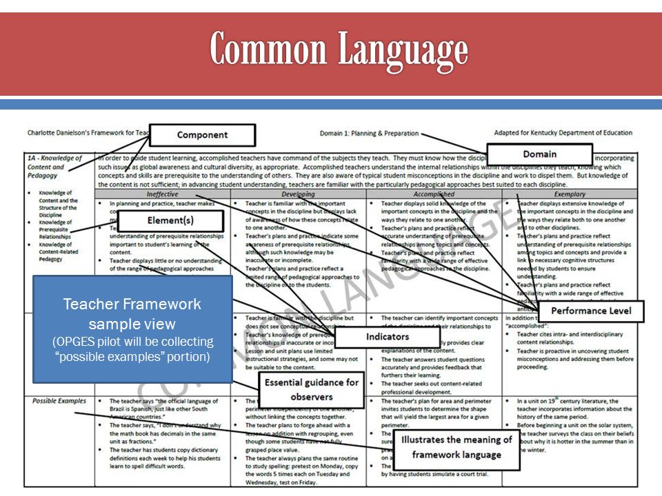 Teacher Framework sample view (OPGES pilot will be collecting possible examples portion)