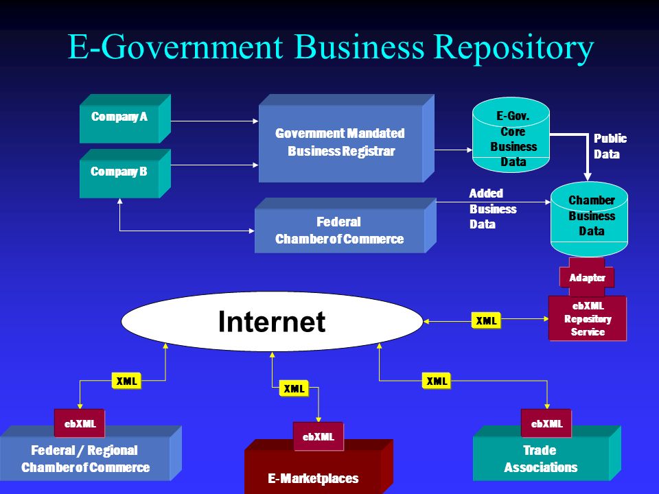 how the government supports the development of e business