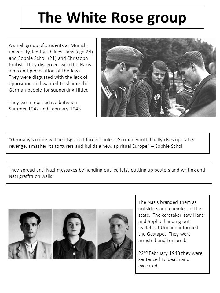 youth opposition to the nazis
