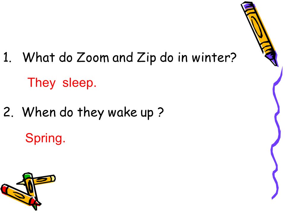 1.What do Zoom and Zip do in winter 2. When do they wake up They sleep. Spring.