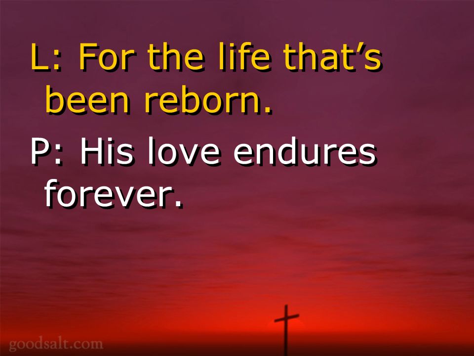 L: For the life that’s been reborn. P: His love endures forever.