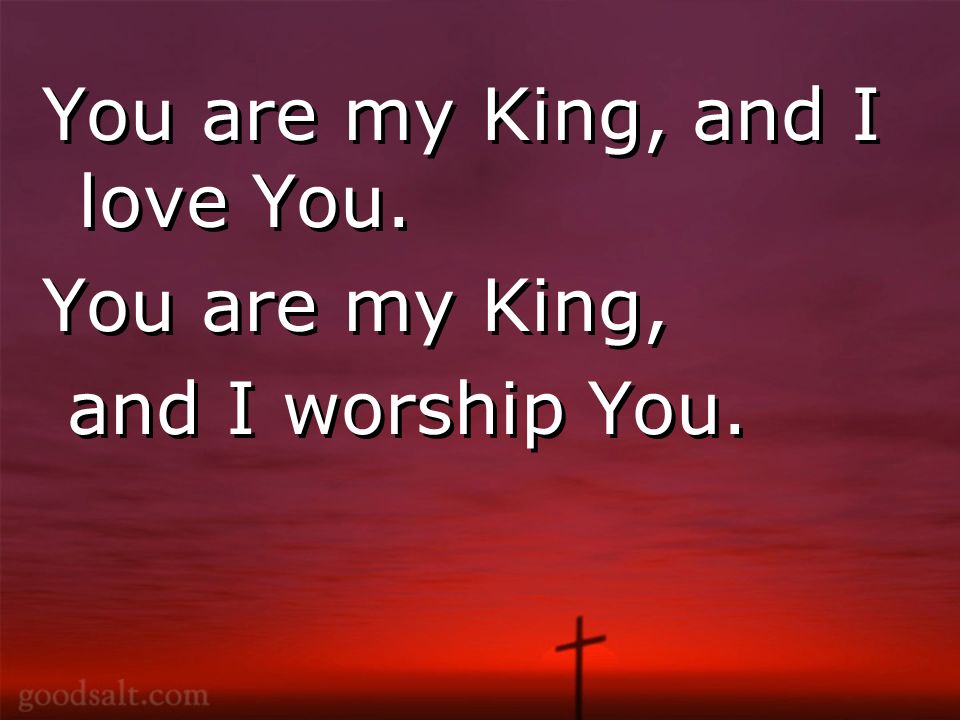 You are my King, and I love You. You are my King, and I worship You.