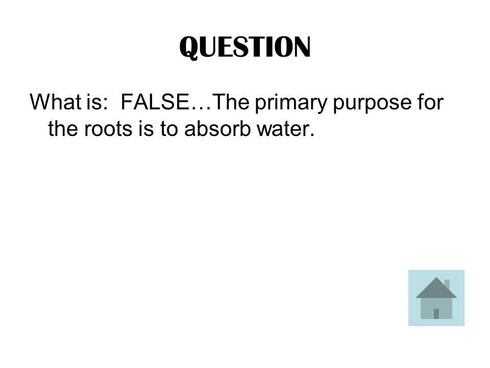 ANSWER TRUE OR FALSE: The primary purpose of the roots is to produce seeds.