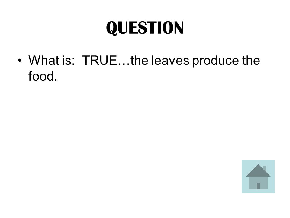 ANSWER TRUE OR FALSE: The leaves of a plant is the part that produces food.