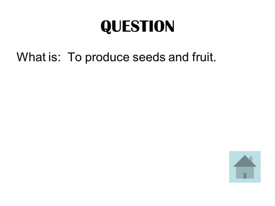 ANSWER This is the main purpose of a plant’s flower.