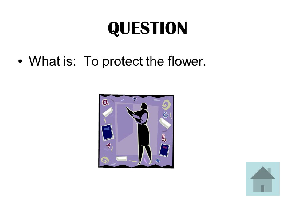 ANSWER This is the function of the sepal of the flower.