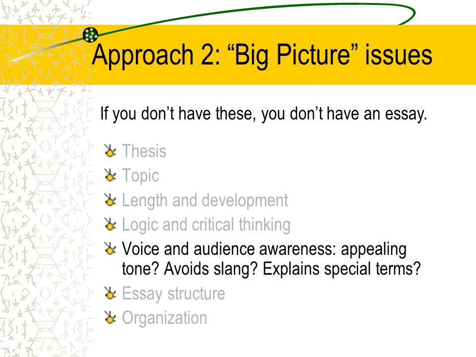 Approach 2: Big Picture issues Thesis Topic Length and development Logic and critical thinking Voice and audience awareness: appealing tone.