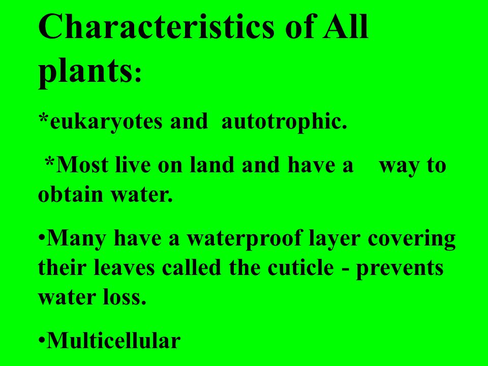 Characteristics of All plants : *eukaryotes and autotrophic.