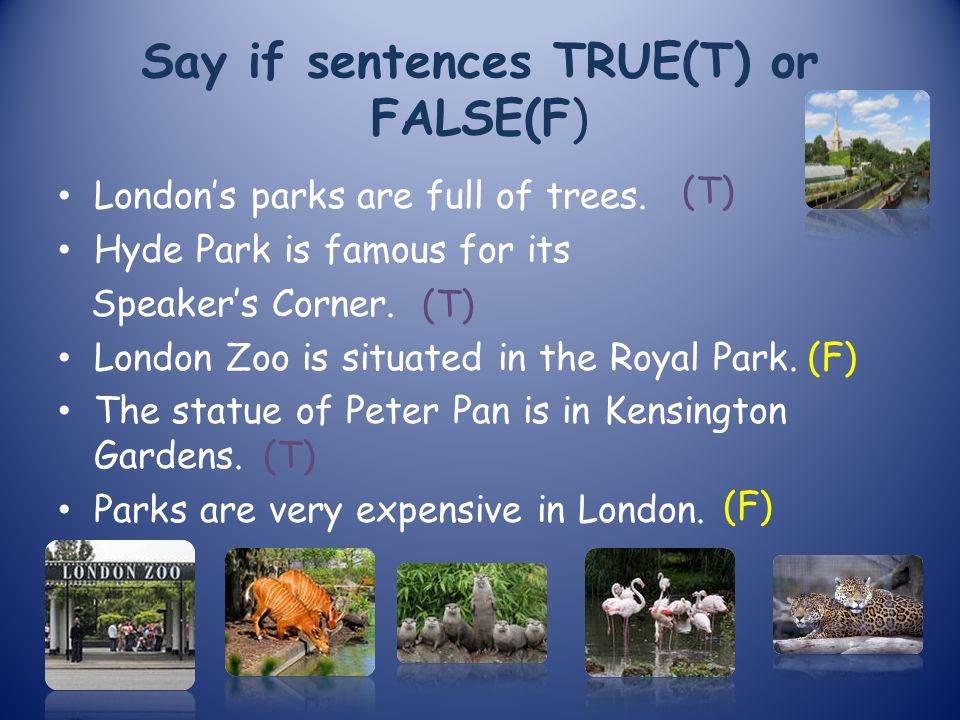 Choose the true sentences. True sentences. If sentences. Hyde Park is also famous for its Speaker’s Corner. Read the Statements and say whether they are true or false.